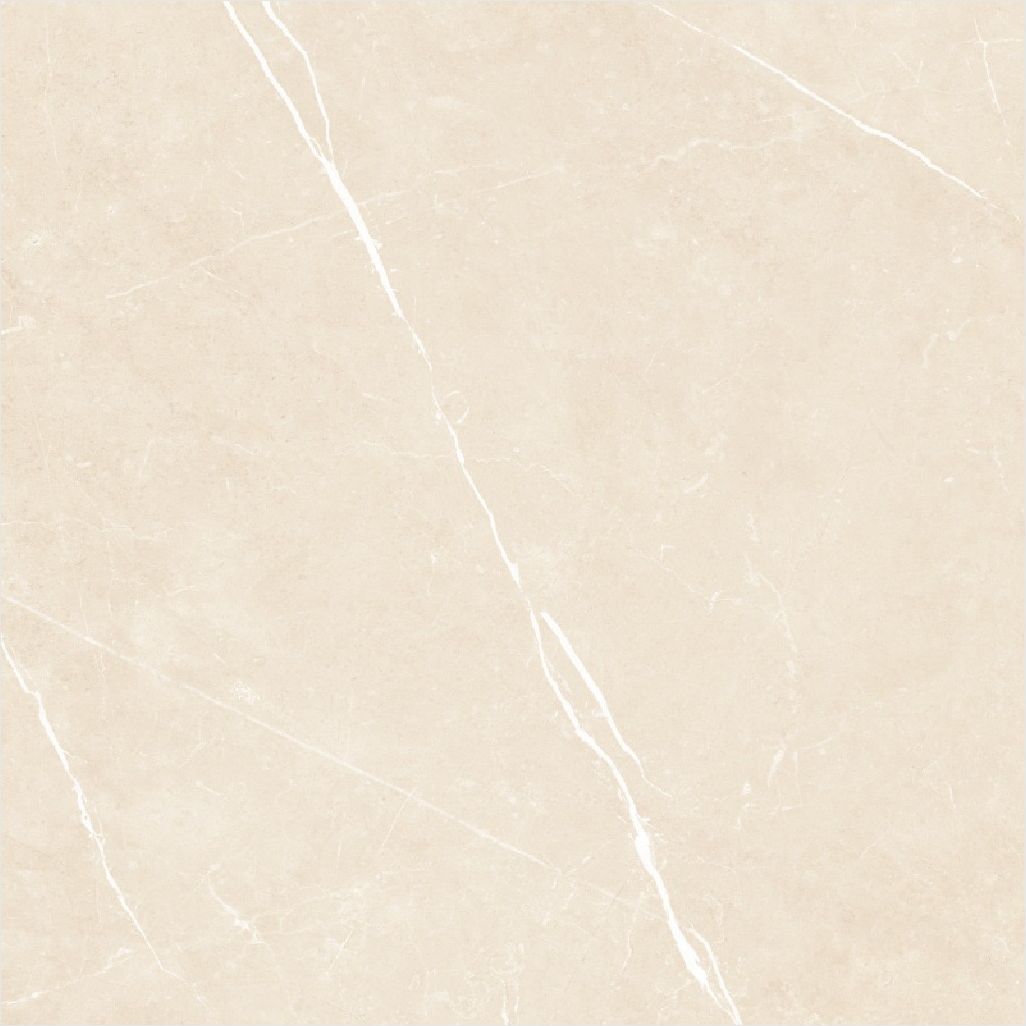 Castor Center Materiais para Construção Ltda